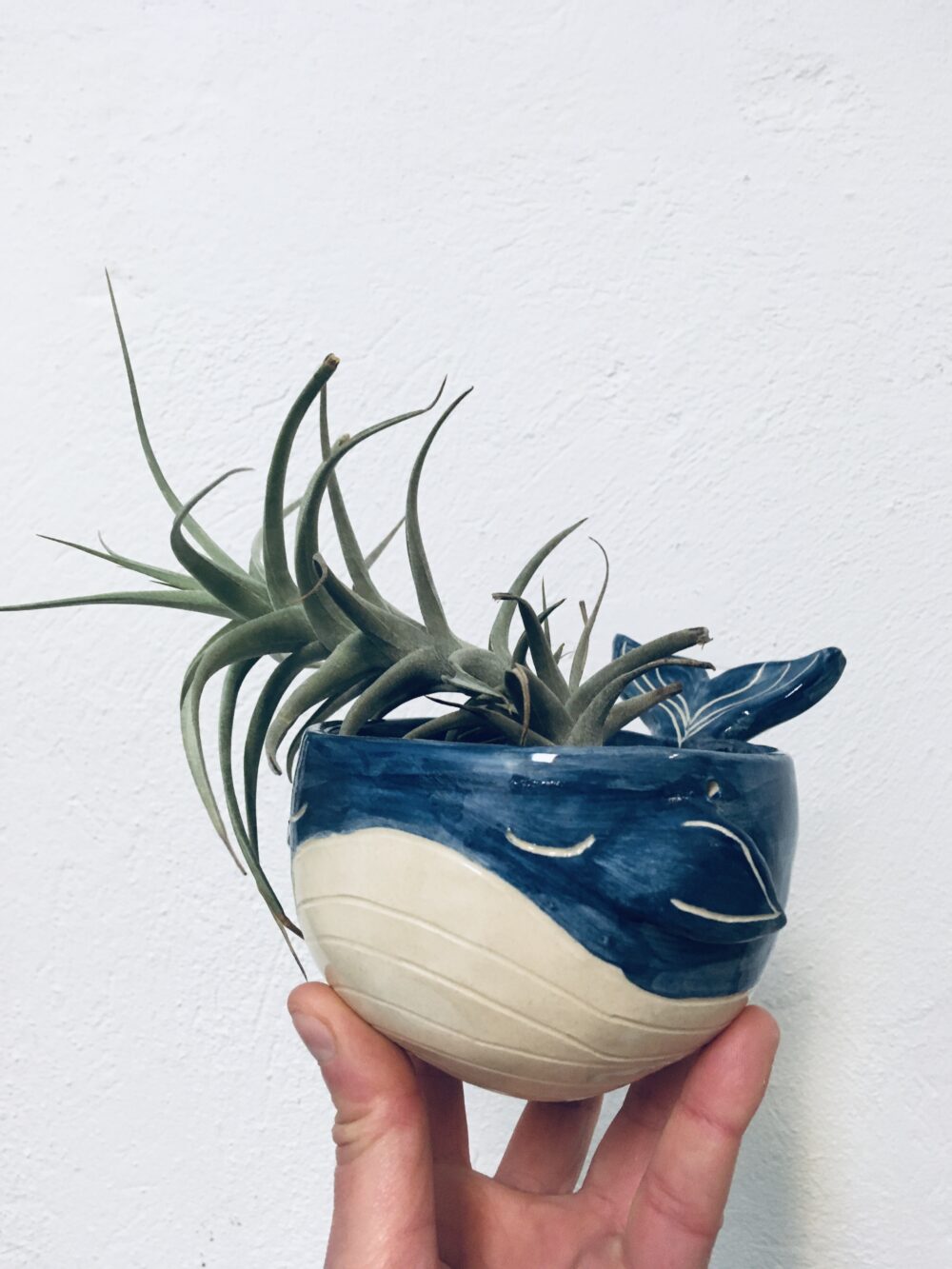Maceta colgante ballena, mecetero colgante marino, maceta azul colgante, maceta interior con drenaje, maceta tillandsias, cactús, suculentas - Imagen 4